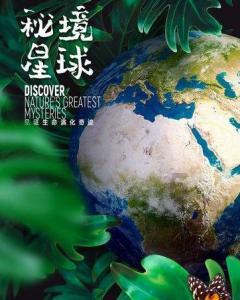 吃星星的恐龙男孩